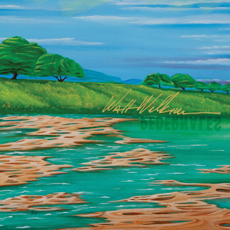 Walt Wilkins